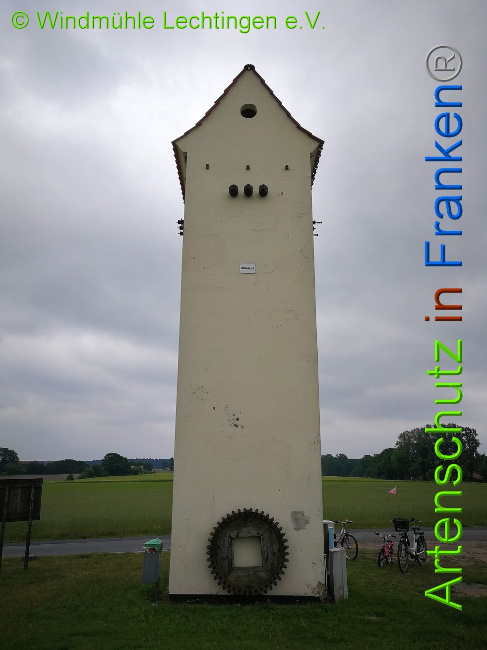 © Artenschutz in Franken® Bild zum Eintrag (1007948-160)