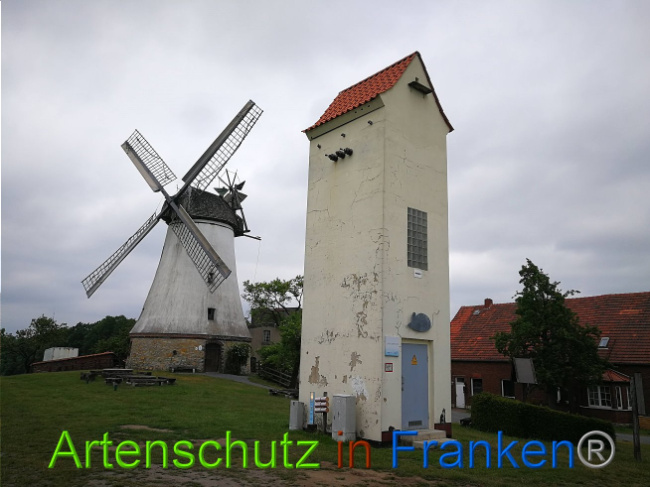 © Artenschutz in Franken® Bild zum Eintrag (1007951-160)