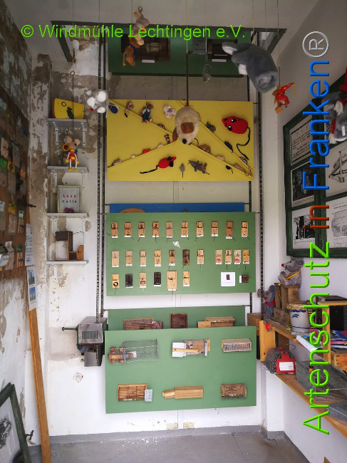 © Artenschutz in Franken® Bild zum Eintrag (1007958-160)