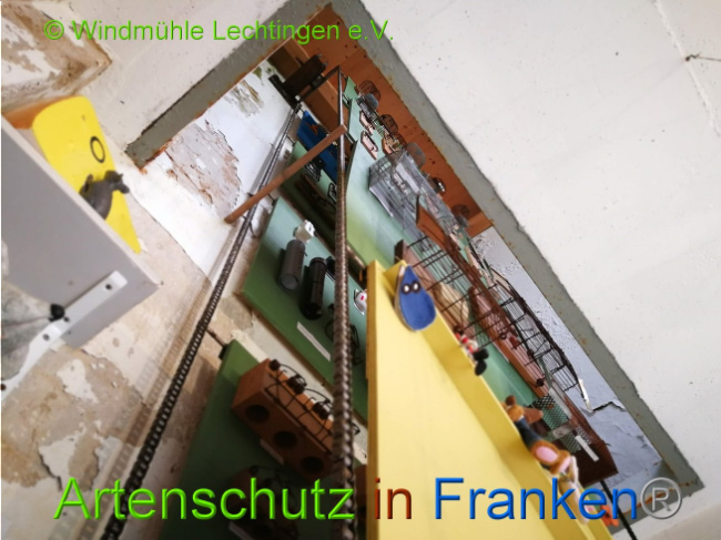 © Artenschutz in Franken® Bild zum Eintrag (1007963-160)