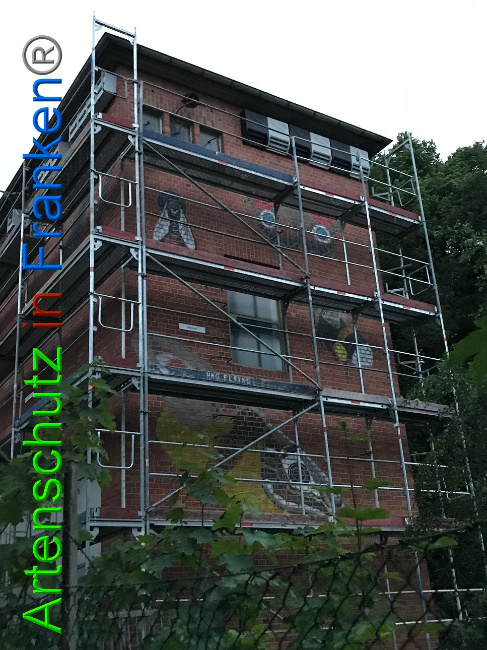 © Artenschutz in Franken® Bild zum Eintrag (1007998-160)