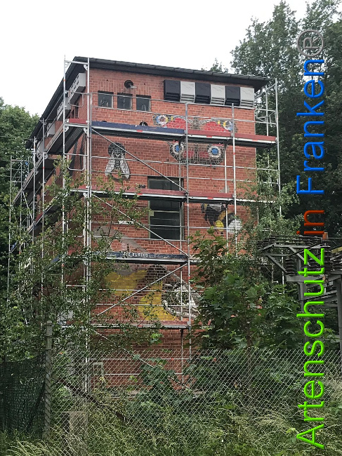 © Artenschutz in Franken® Bild zum Eintrag (1007999-160)