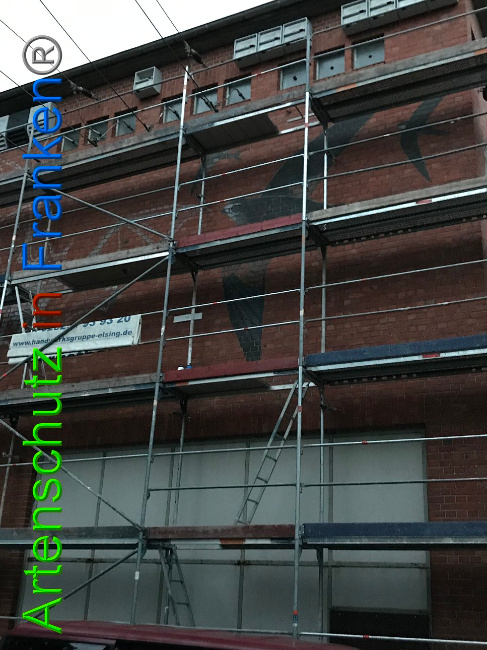 © Artenschutz in Franken® Bild zum Eintrag (1008000-160)