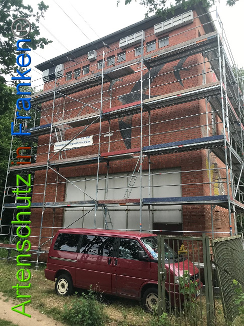 © Artenschutz in Franken® Bild zum Eintrag (1008001-160)