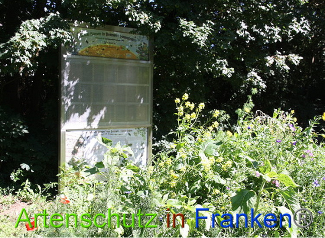 © Artenschutz in Franken® Bild zum Eintrag (1008196-160)