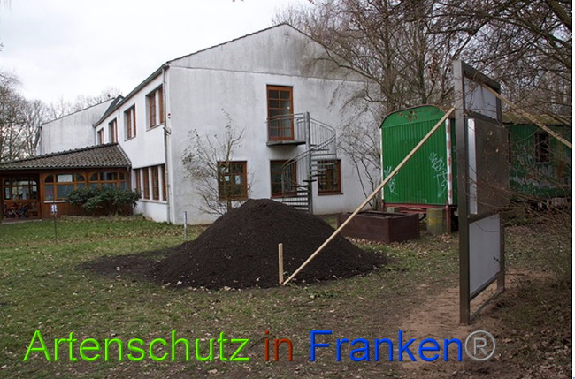 © Artenschutz in Franken® Bild zum Eintrag (1008199-160)