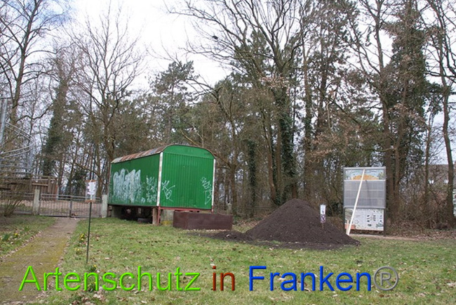 © Artenschutz in Franken® Bild zum Eintrag (1008200-160)
