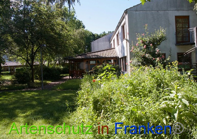 © Artenschutz in Franken® Bild zum Eintrag (1008205-160)