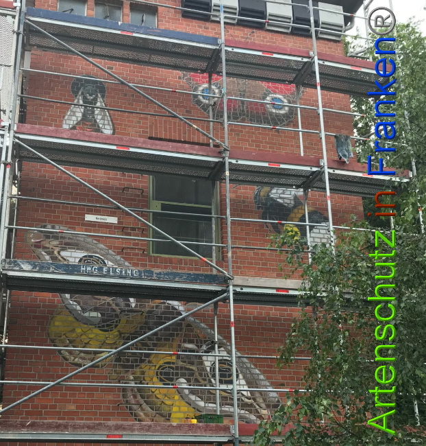© Artenschutz in Franken® Bild zum Eintrag (1008224-160)
