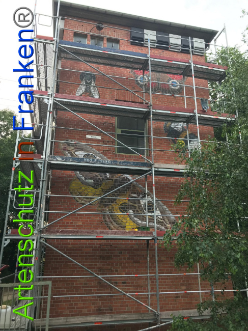 © Artenschutz in Franken® Bild zum Eintrag (1008225-160)