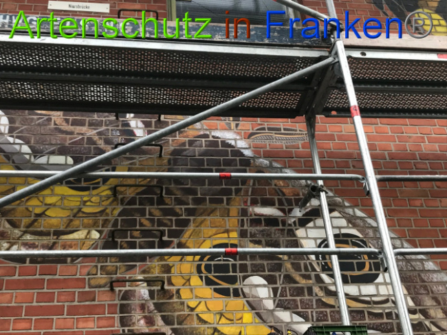 © Artenschutz in Franken® Bild zum Eintrag (1008226-160)