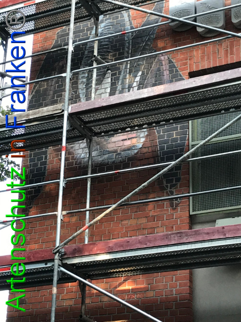 © Artenschutz in Franken® Bild zum Eintrag (1008281-160)