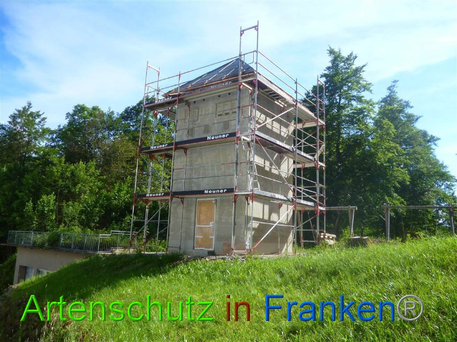 © Artenschutz in Franken® Bild zum Eintrag (1008558-160)