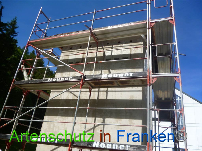 © Artenschutz in Franken® Bild zum Eintrag (1008560-160)