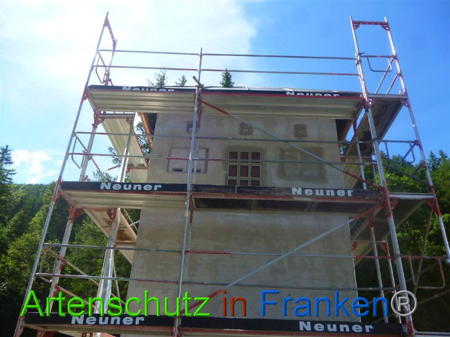© Artenschutz in Franken® Bild zum Eintrag (1008562-160)