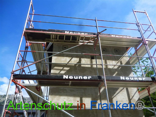 © Artenschutz in Franken® Bild zum Eintrag (1008563-160)