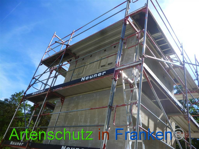© Artenschutz in Franken® Bild zum Eintrag (1008564-160)