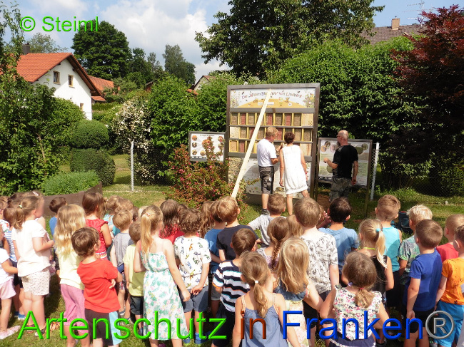 © Artenschutz in Franken® Kita - Steiml Bild zum Eintrag (1008579-160)
