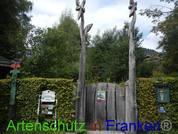 Bild zum Eintrag (100862-160)