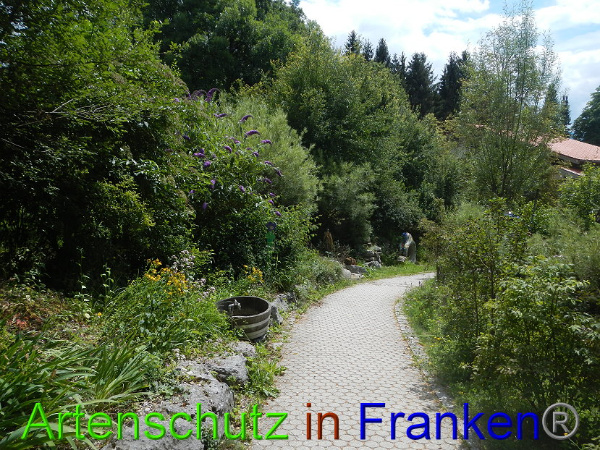 Bild zum Eintrag (100863-160)