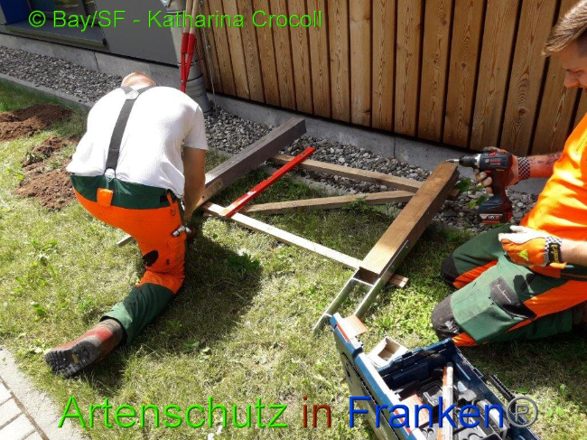 © Artenschutz in Franken® BaySF K. Crocoll Bild zum Eintrag (1008656-160)