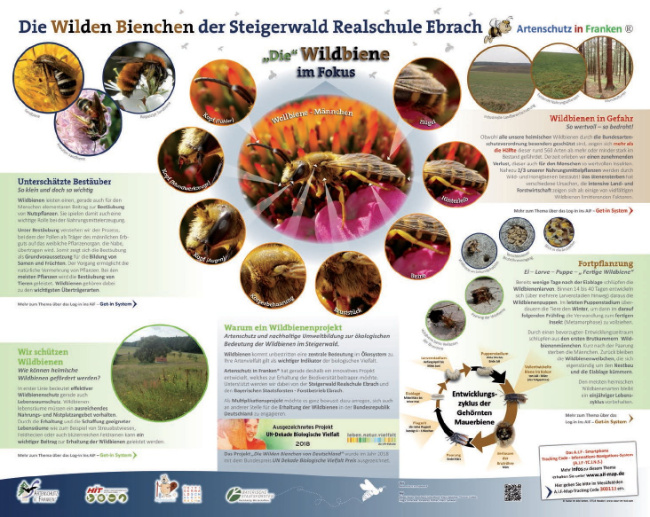 © Artenschutz in Franken® Bild zum Eintrag (1008662-160)