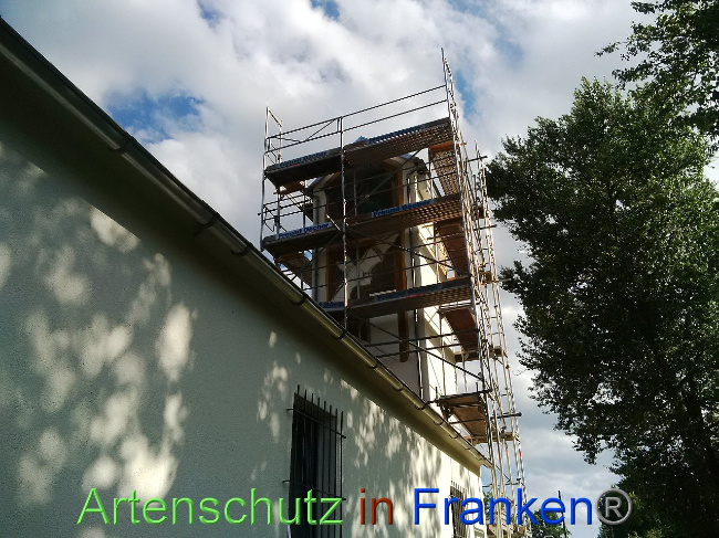 Bild zum Eintrag (1008761-160)