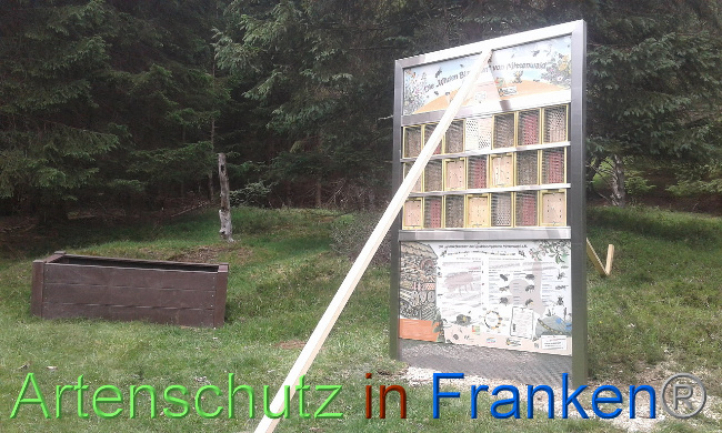© Artenschutz in Franken® Bild zum Eintrag (1008800-160)
