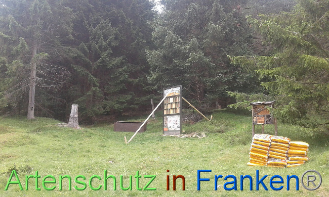 © Artenschutz in Franken® Bild zum Eintrag (1008801-160)