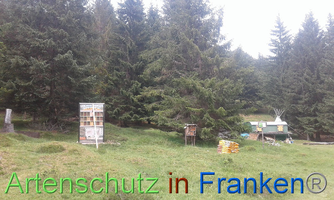 © Artenschutz in Franken® Bild zum Eintrag (1008803-160)