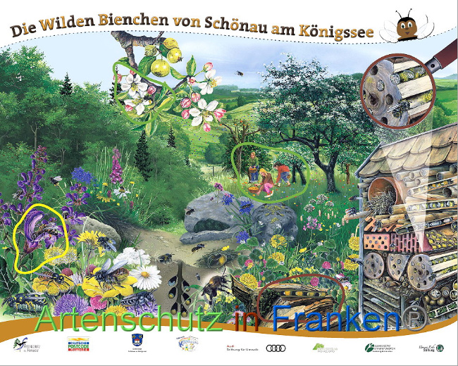 © Artenschutz in Franken® Bild zum Eintrag (1008902-160)