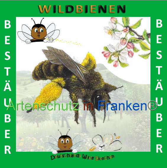 © Artenschutz in Franken® Bild zum Eintrag (1008904-160)