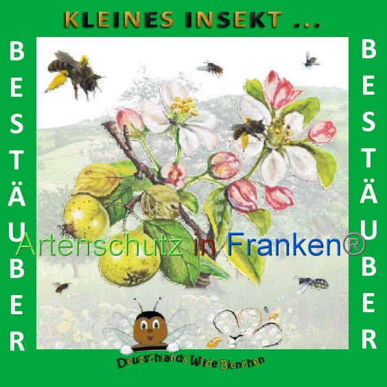 © Artenschutz in Franken® Bild zum Eintrag (1008906-160)