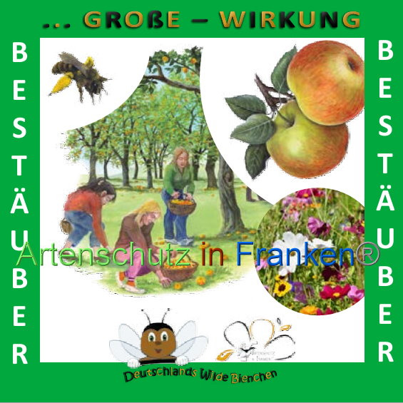© Artenschutz in Franken® Bild zum Eintrag (1008907-160)