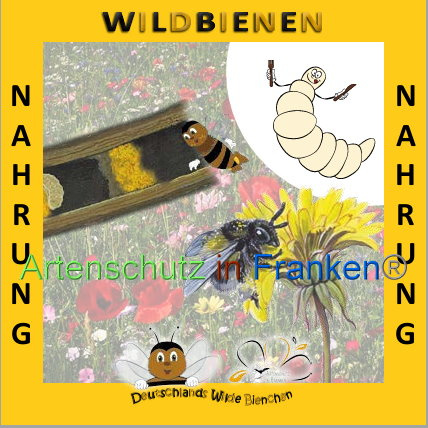 © Artenschutz in Franken® Bild zum Eintrag (1008919-160)