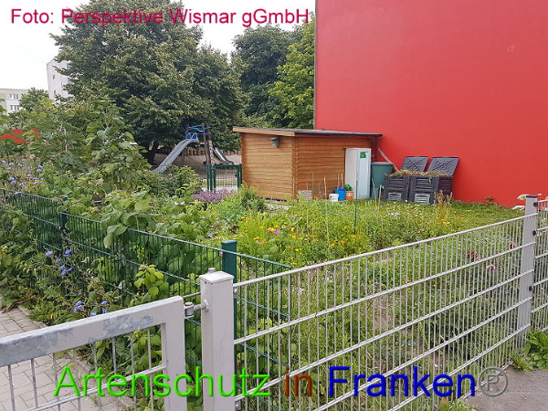 Bild zum Eintrag (100892-160)