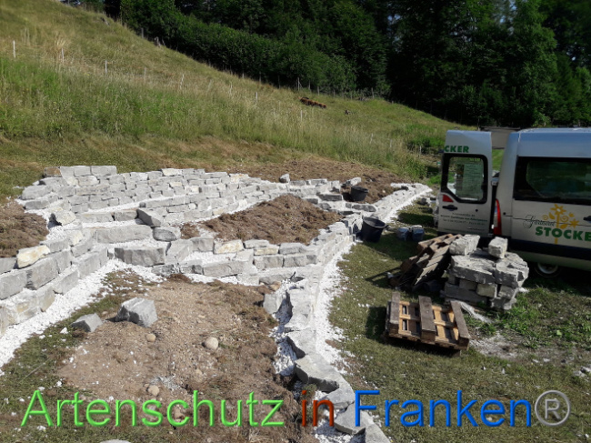© Artenschutz in Franken® Bild zum Eintrag (1008930-160)