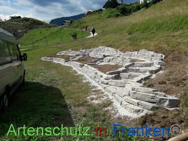 © Artenschutz in Franken® Bild zum Eintrag (1008931-160)
