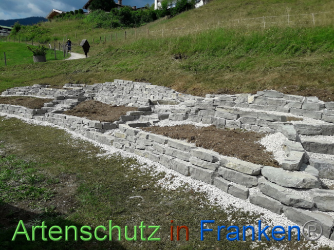 © Artenschutz in Franken® Bild zum Eintrag (1008932-160)