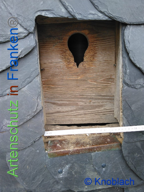 © Artenschutz in Franken® Knoblach Bild zum Eintrag (1008989-160)