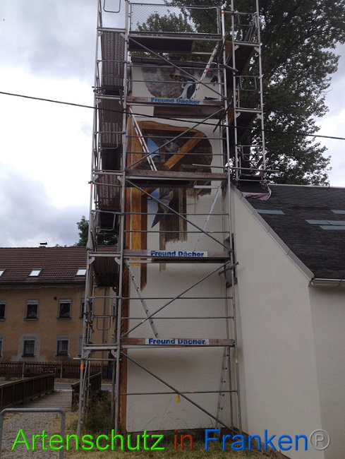 © Artenschutz in Franken® Bild zum Eintrag (1009079-160)