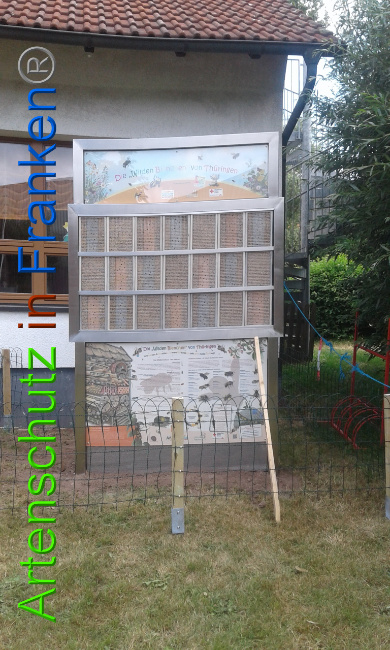 © Artenschutz in Franken® Bild zum Eintrag (1009087-160)