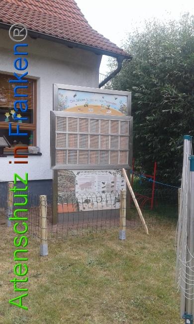 © Artenschutz in Franken® Bild zum Eintrag (1009088-160)