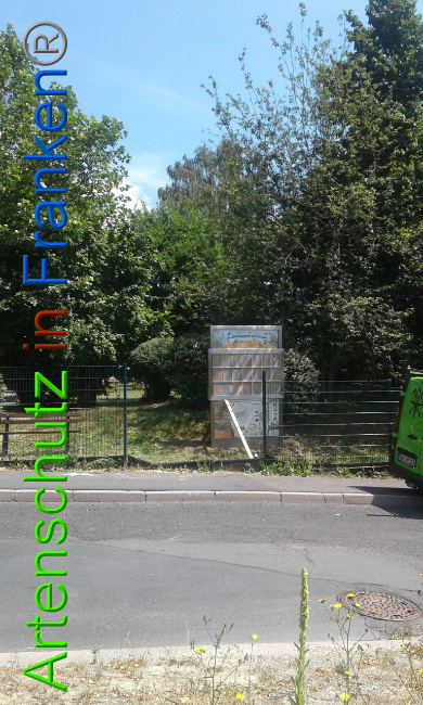 © Artenschutz in Franken® Bild zum Eintrag (1009116-160)