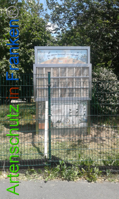 © Artenschutz in Franken® Bild zum Eintrag (1009118-160)