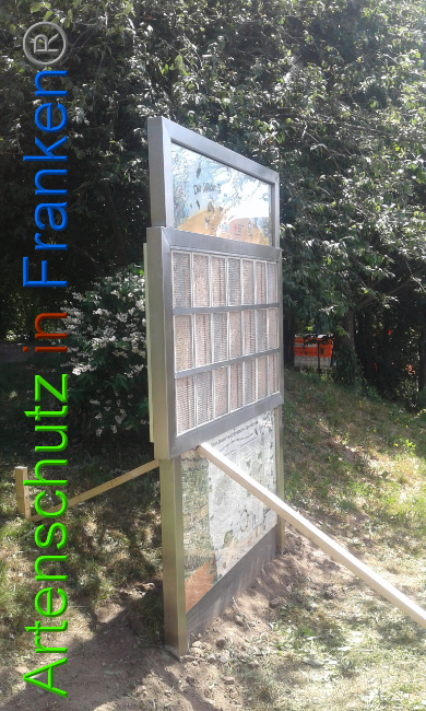© Artenschutz in Franken® Bild zum Eintrag (1009121-160)