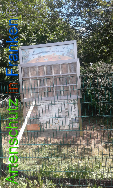 © Artenschutz in Franken® Bild zum Eintrag (1009123-160)