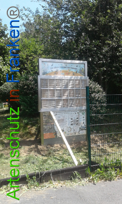 © Artenschutz in Franken® Bild zum Eintrag (1009124-160)