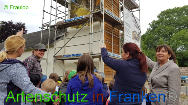 Bild zum Eintrag (1009132-160)