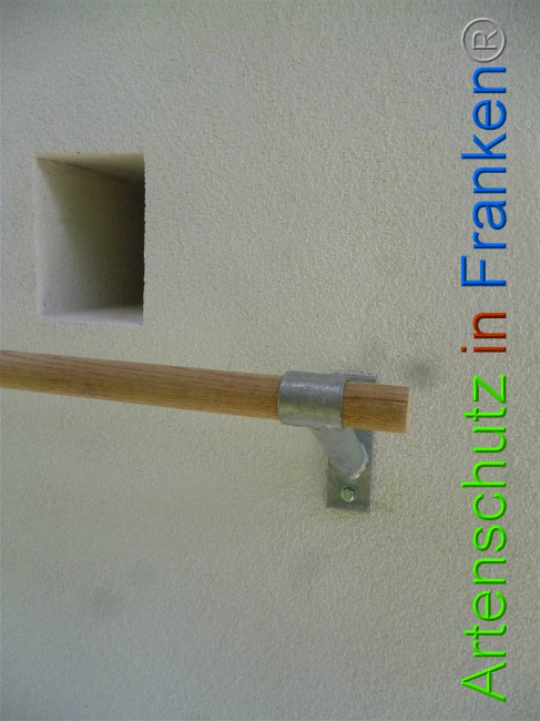 © Artenschutz in Franken® Bild zum Eintrag (1009216-160)
